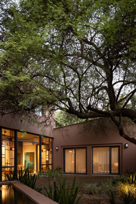 House around the Tree